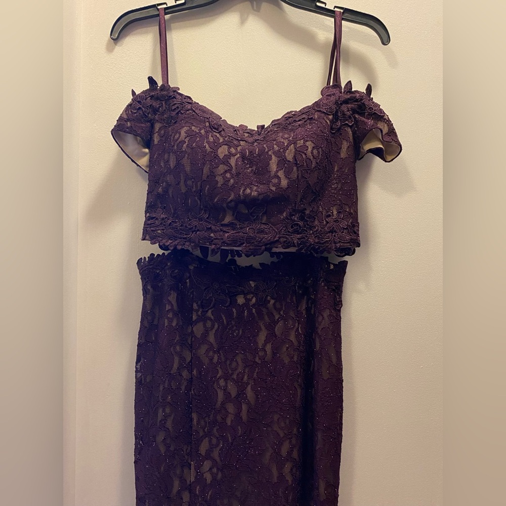 Prom dress (eggplant purple)
